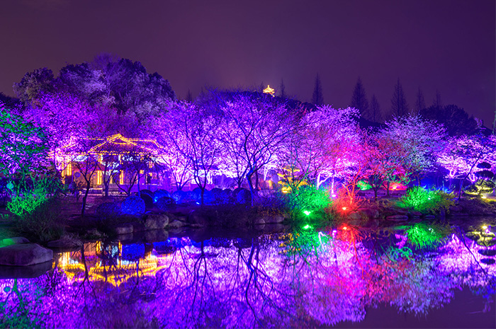 节日彩灯